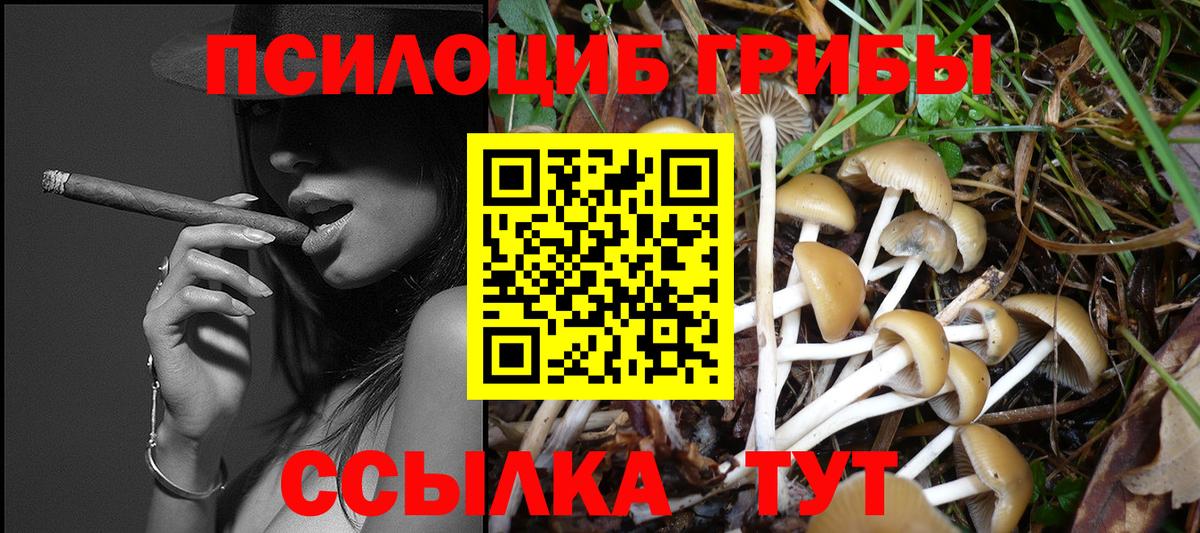 где можно купить наркотик  Вход с VPN  Алейск  Галлюциногенные грибы прущие грибы 